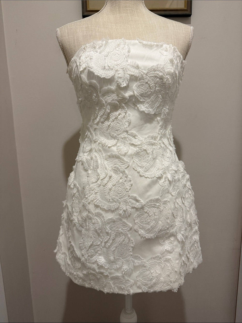 NWT Bardot Karoline Lace Dress - Picture 6 of 9